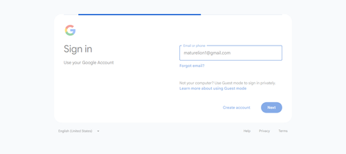 2026 06 27T22 30 50 839Z GOOGLE email entered password.png