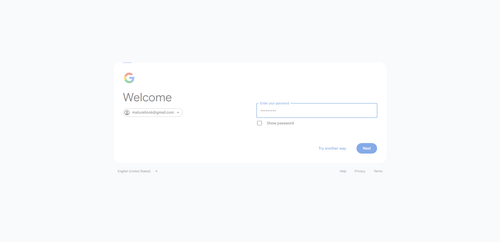 2026 06 27T22 31 18 632Z GOOGLE password entered.png