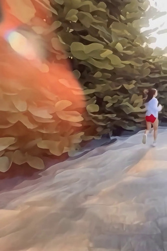 last frame.jpg