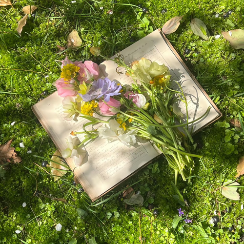 1000047881.png