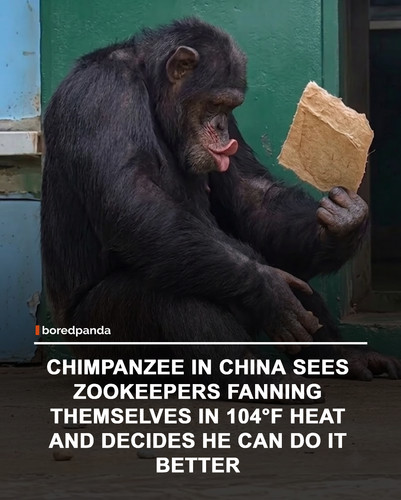 img facts.jpg
