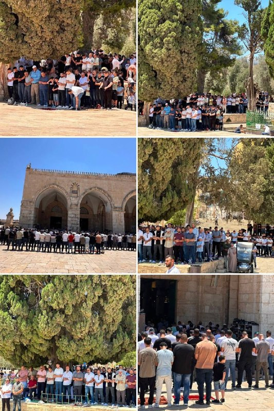 صورة الخبر