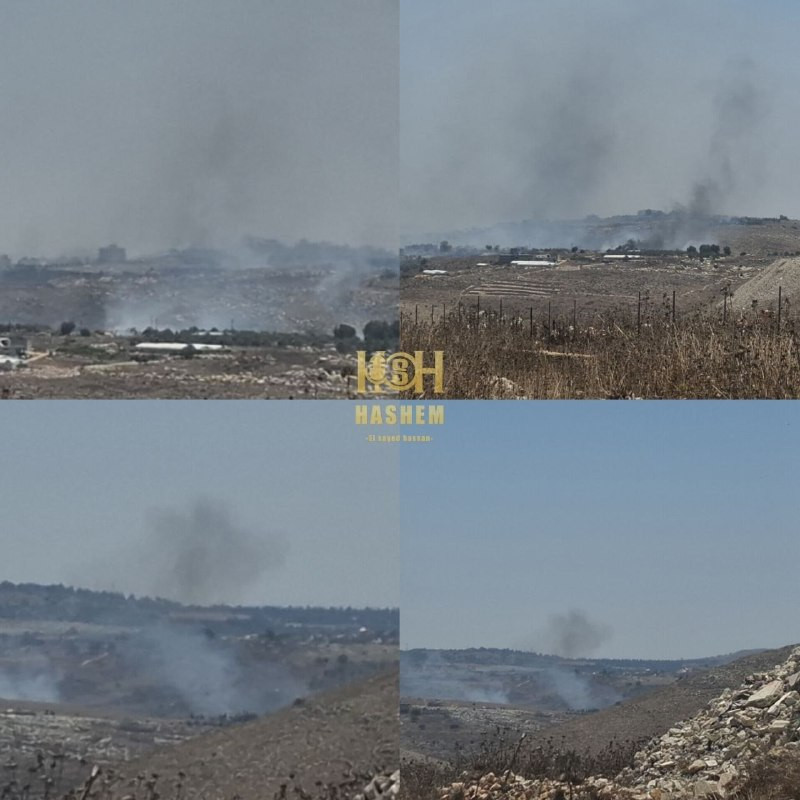 صورة الخبر