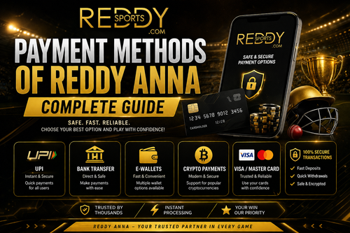 Payment Methods of Reddy Anna Complete Guide.png