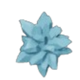 Essence Catalyst