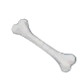 Bone