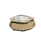 Polished Fish Scales.png
