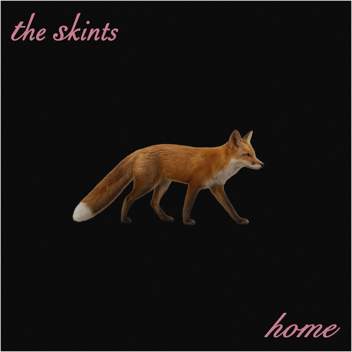 The Skints - Home
