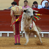 CSAl20F.th.jpg