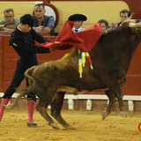 CSAl811.th.jpg