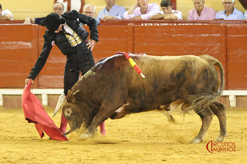 215A3207