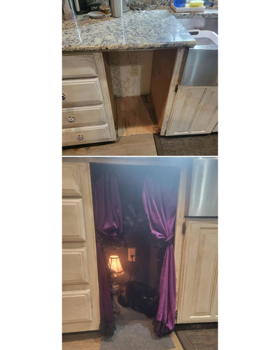 6a67057fdfe05 update on the broken wine fridge cabinet hole now a cat apartment 700 bordered.jpg