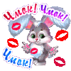 img 31.gif