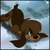 184136864.gif