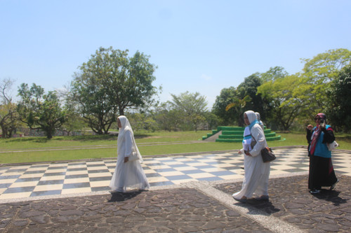 IMG 0880.jpg