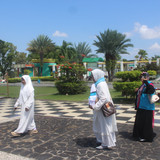 IMG 0885