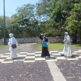 IMG 0889