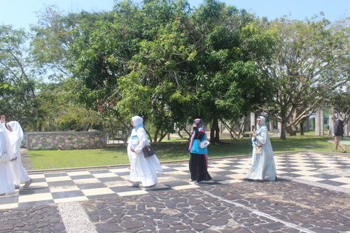 IMG 0887.jpg