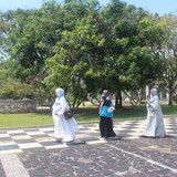 IMG 0887