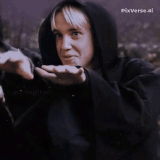 1000164480.gif