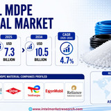 httpswww.24lifesciences.com 2026 07 31T123159.883