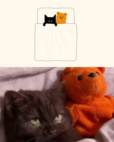 2 images (3).png