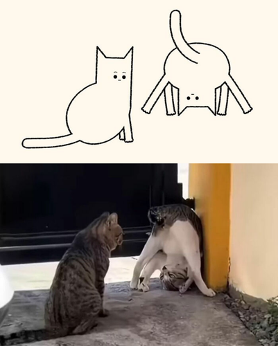 2 images (7).png