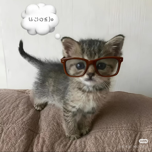 1000012800.jpg