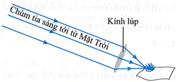 bai 10 7 trang 29 sbt khtn 9 a.png