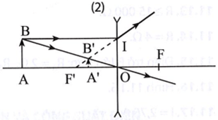 bai 10 10 trang 29 sbt khtn 9.png
