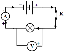 bai 11 19 trang 32 sbt khtn 9.png