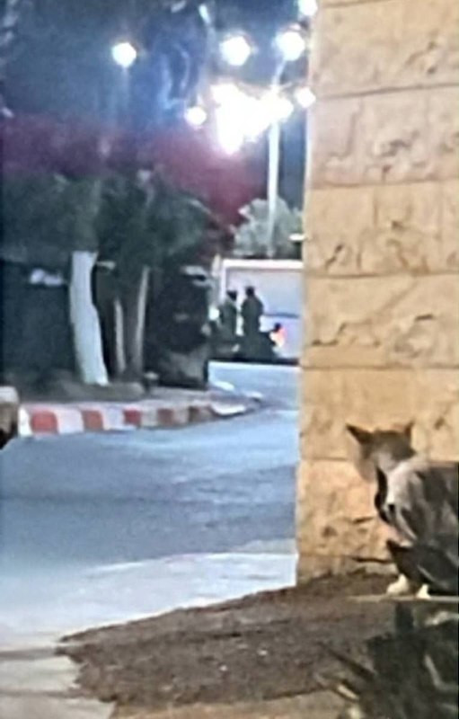 صورة الخبر