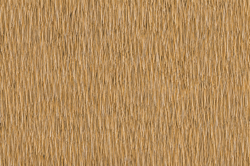ChatGPT Image 1 ago 2026, 16_03_57.png
