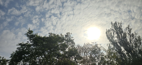 20260722 031024.jpg