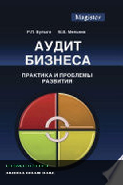 Обложка книги «Аудит бизнеса. Практика и проблемы развития» - Р. П. Булыга, М. В. Мельник