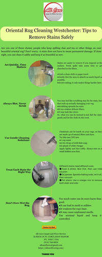 Oriental Rug Cleaning Westchester Tips to Remove Stains Safely.jpg