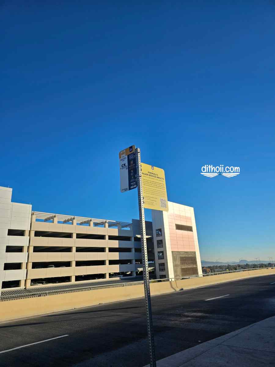 Xe bus ở las vegas