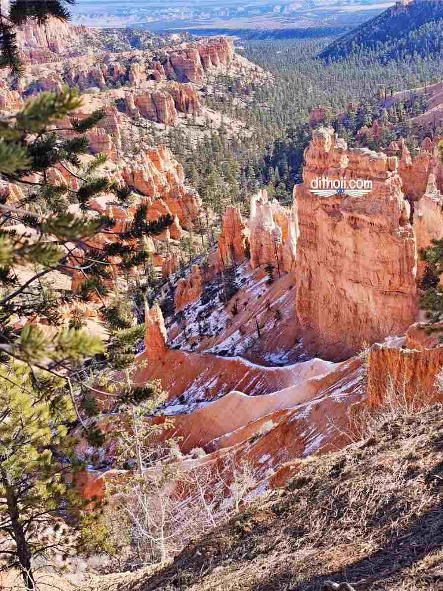 tuyết phủ trên bryce canyon