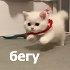 https://iili.io/CSc9M7e.png