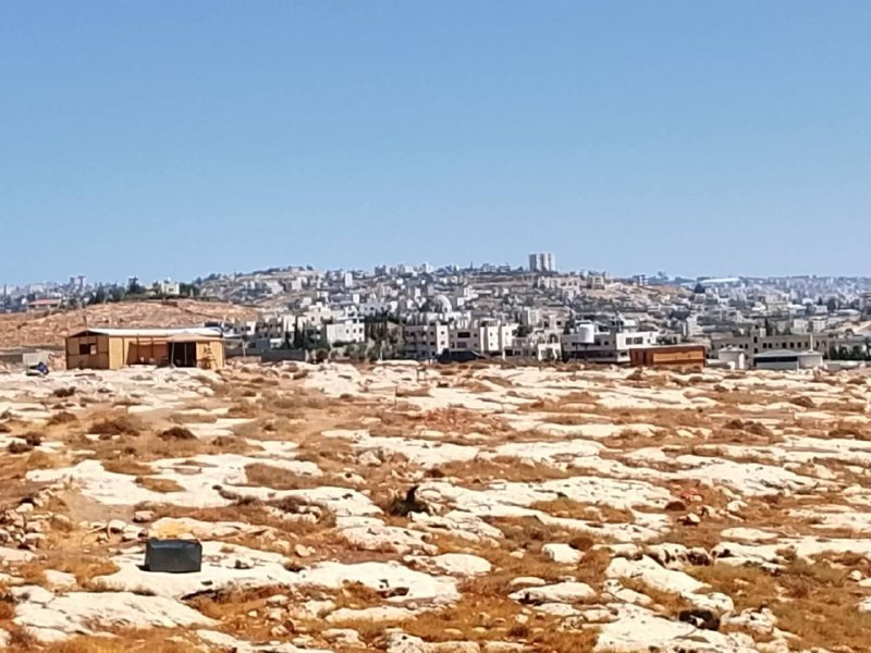 صورة الخبر