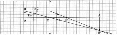 bai 10 9 trang 29 sbt khtn 9.png
