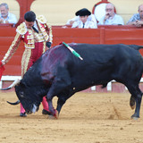 CSeab8N.th.jpg