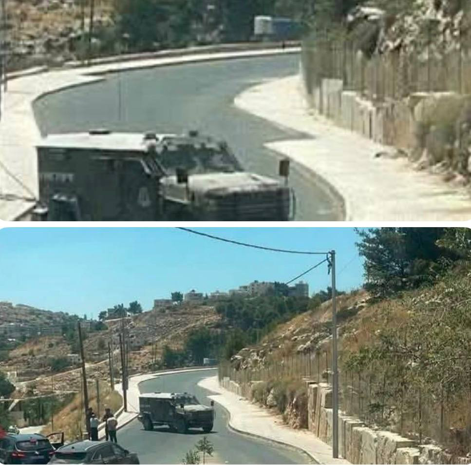 صورة الخبر