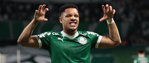 Palmeiras PLAY Photoroom (1).png