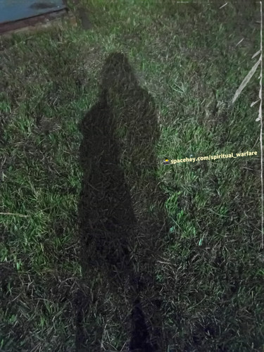 2026071301111288.jpg