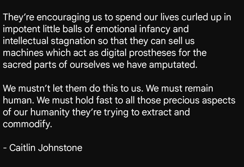 quotation from Caitlin Johnstone on the aims of AI.