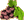 [Bild: CSheCEF.webp]
