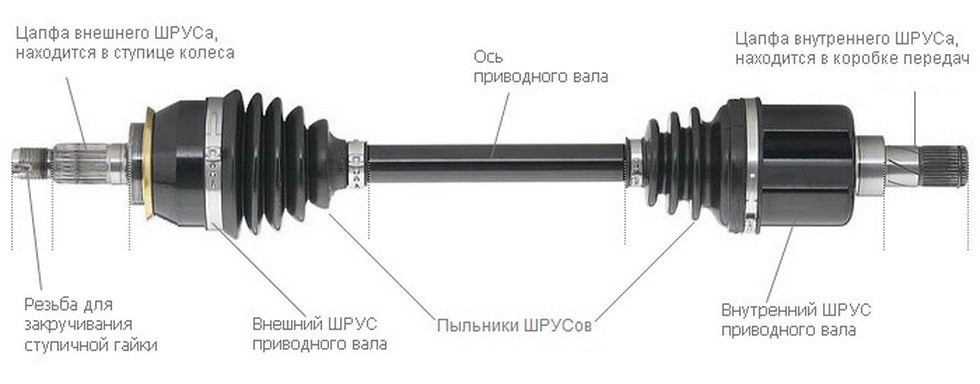 Зображення