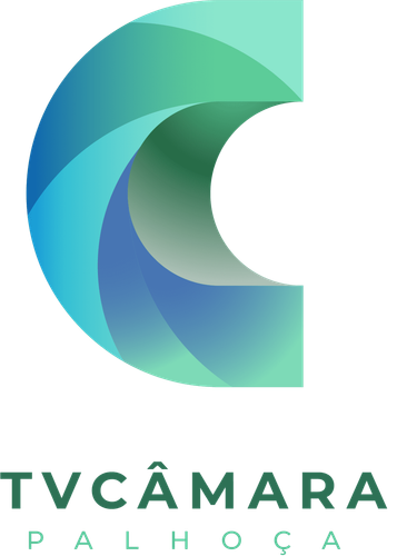 TV CAMARA PALHOCA 1098x1536.png