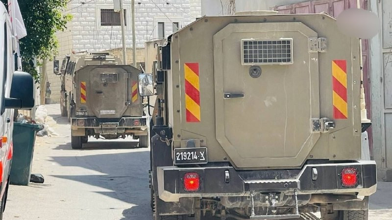 صورة الخبر